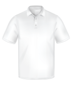 polo-scaled.png