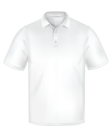 polo-scaled.png