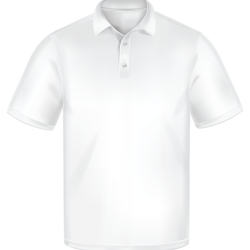 polo-scaled.png